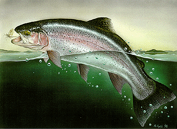 fish2.gif (64457 bytes)