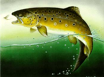 trout01.jpg (19362 bytes)